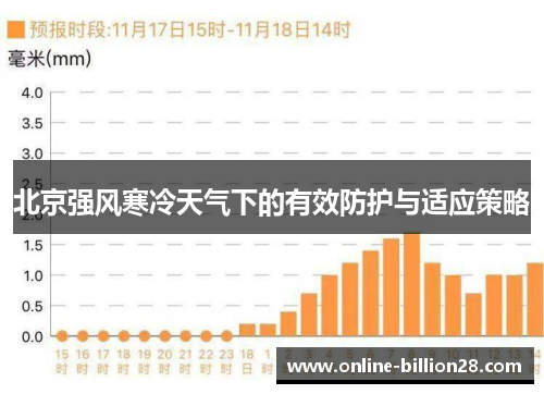 北京强风寒冷天气下的有效防护与适应策略
