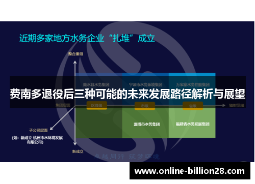 费南多退役后三种可能的未来发展路径解析与展望