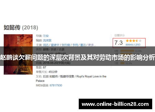 赵鹏谈欠薪问题的深层次背景及其对劳动市场的影响分析